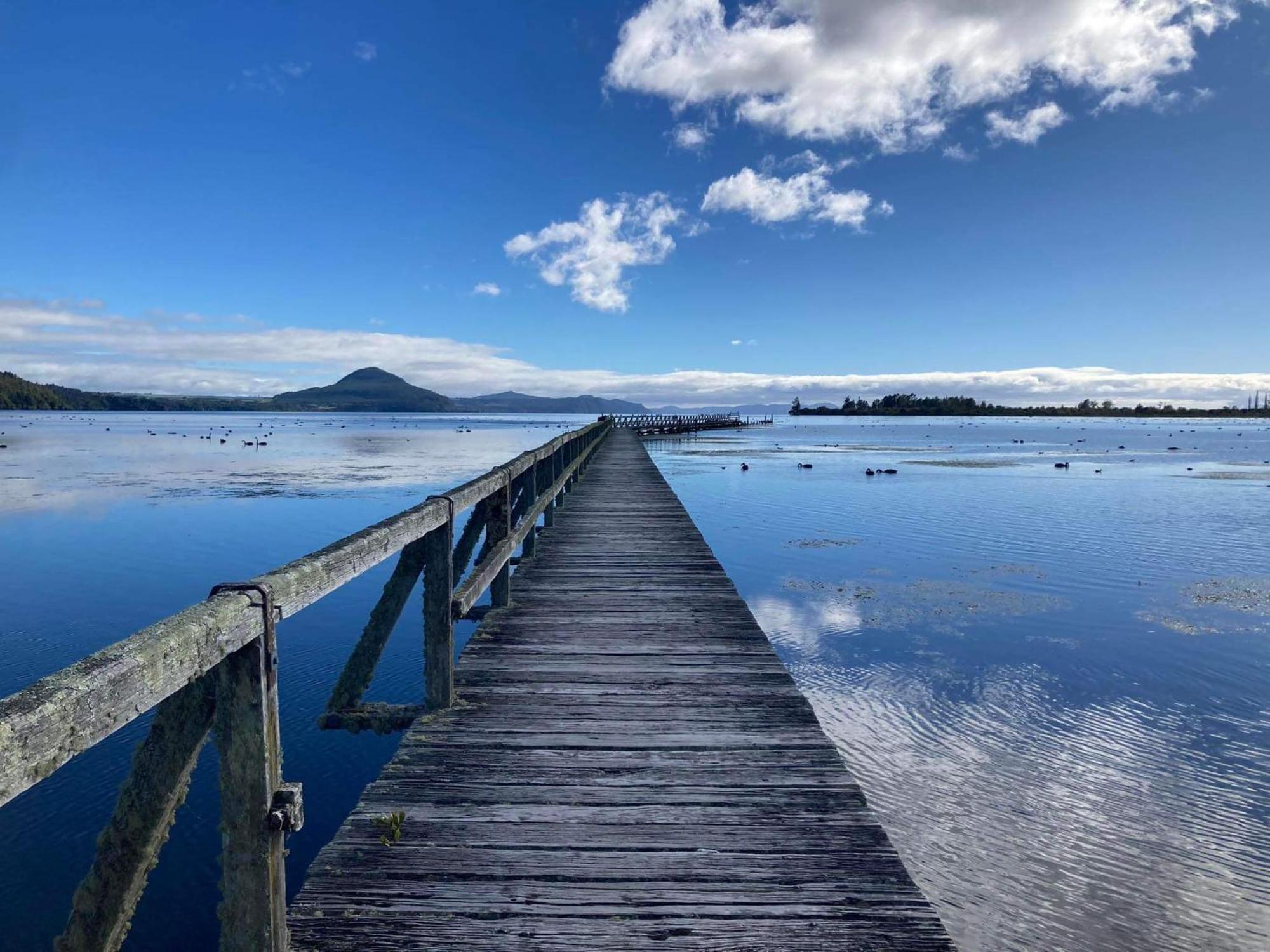 Whare&Geothermal Pool By Lake Taupo Турангі Екстер'єр фото