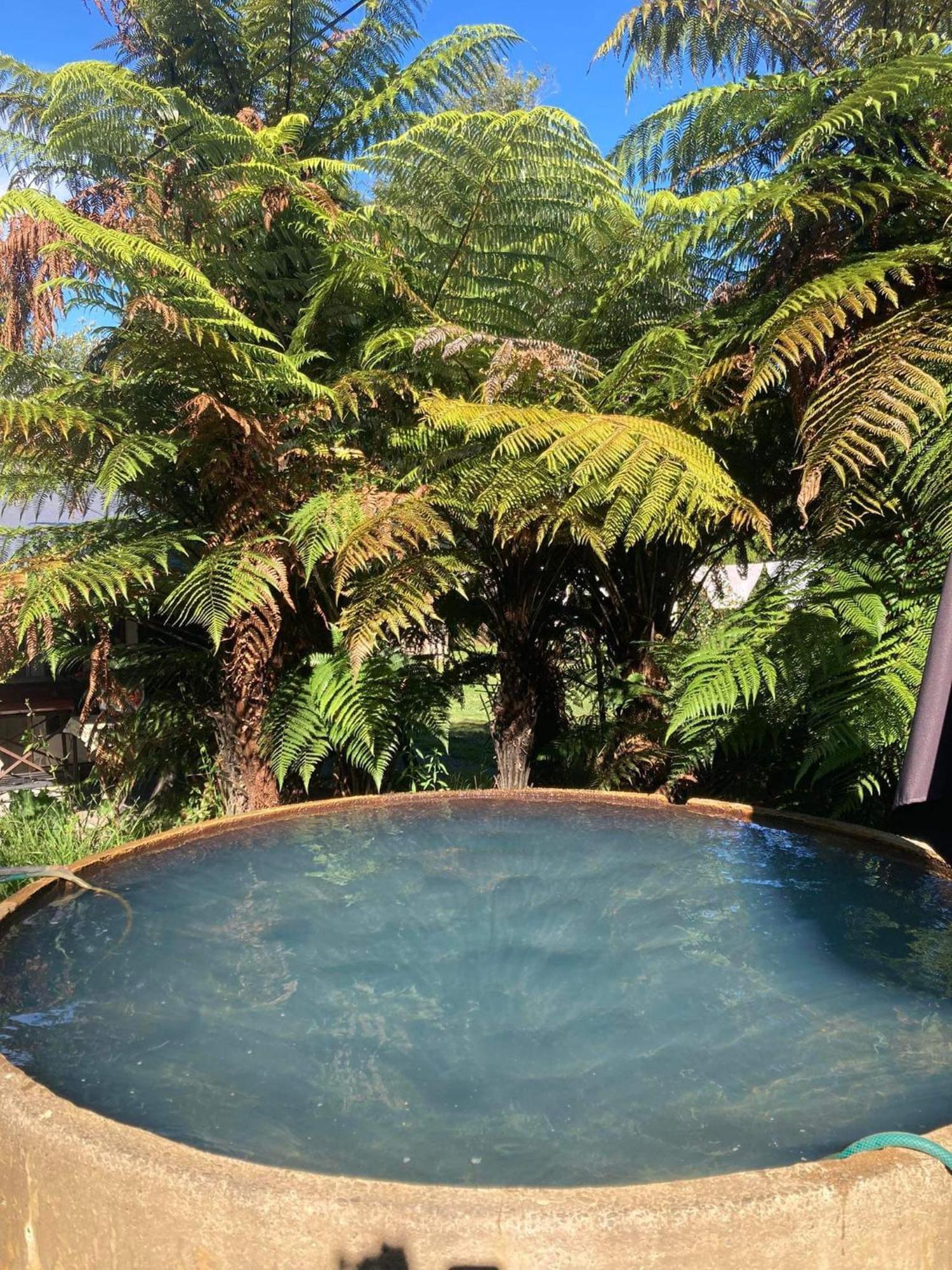 Whare&Geothermal Pool By Lake Taupo Турангі Екстер'єр фото