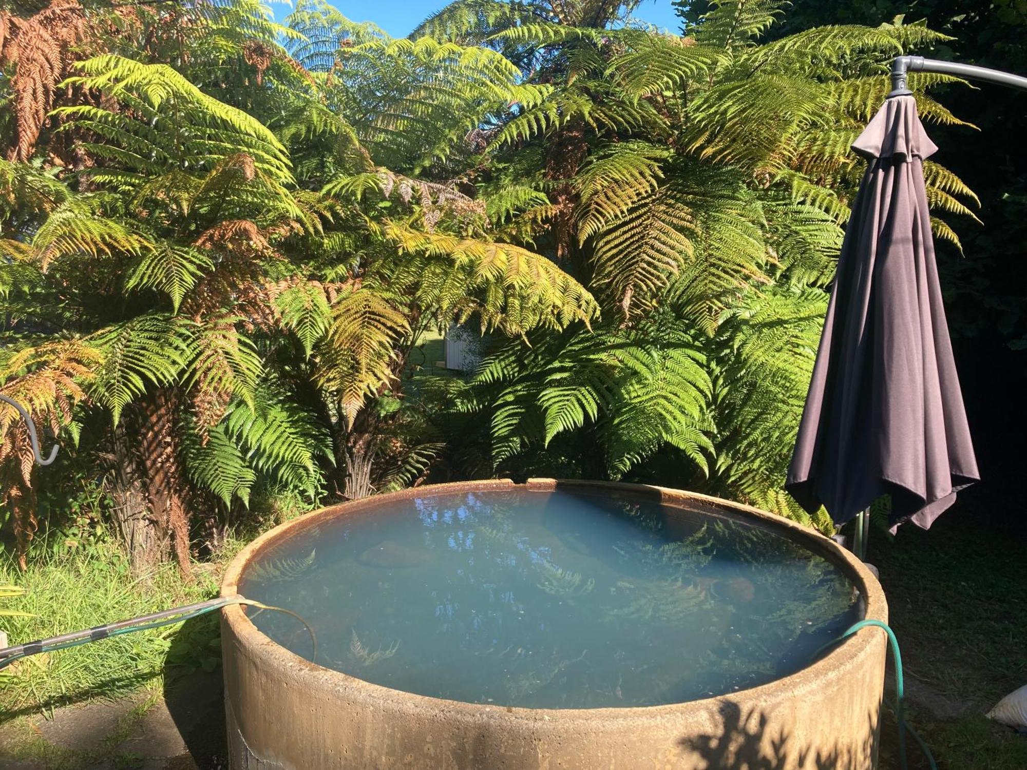 Whare&Geothermal Pool By Lake Taupo Турангі Екстер'єр фото